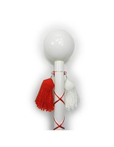 Majorettes' mace with case – for parades and competitions