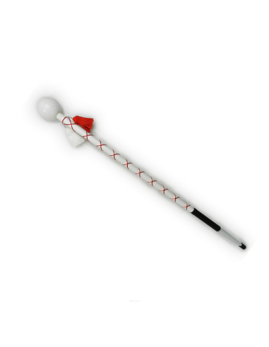 Majorettes' mace with case – for parades and competitions